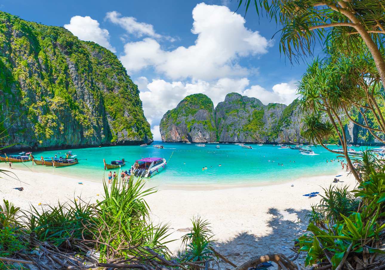How To Get Paid To Transfer To Thailand (2024 Information!)